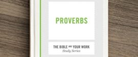 Proverbs bible study for work small groups